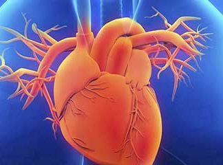 Звуки Биения и стука сердца: звуки кардиограммы