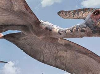 Звуки летающих динозавров
